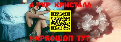 a pvp Свободный