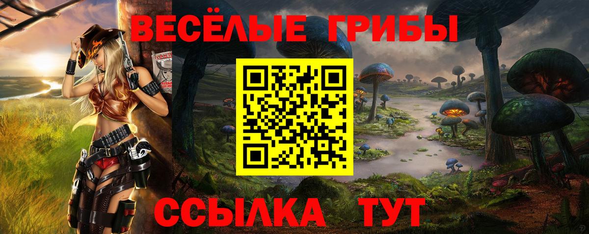 Галлюциногенные грибы Cubensis Ростов-на-Дону