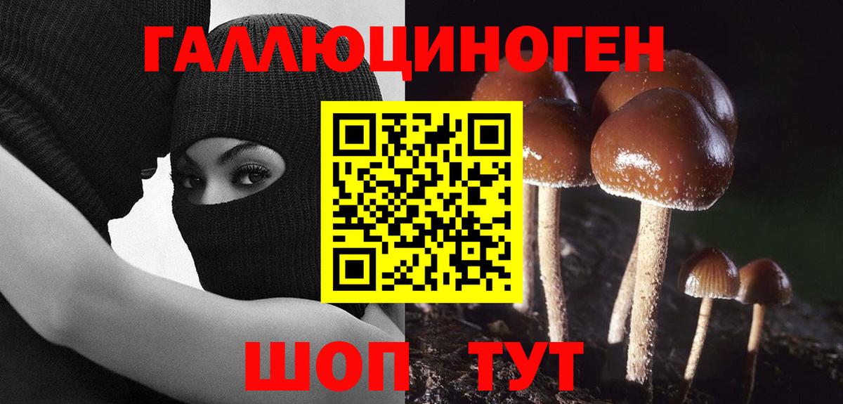 Галлюциногенные грибы GOLDEN TEACHER  Галлюциногенные грибы ЛСД  Вход с VPN  Ростов-на-Дону 