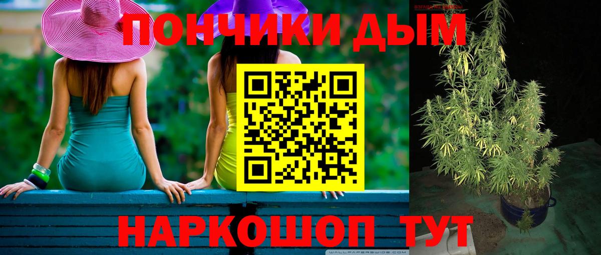 Конопля гибрид Ростов-на-Дону